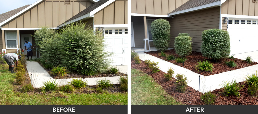 landscaping in front of business