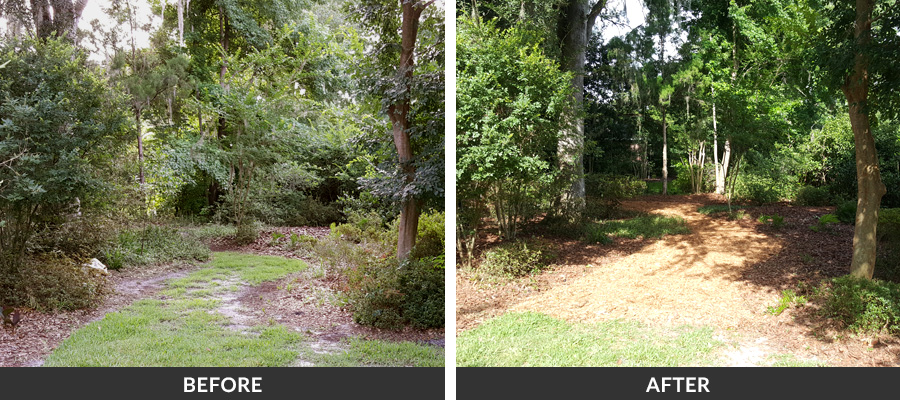 commercial landscaping gallery image 13