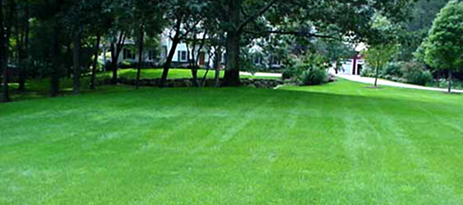 commercial landscaping gallery image 36
