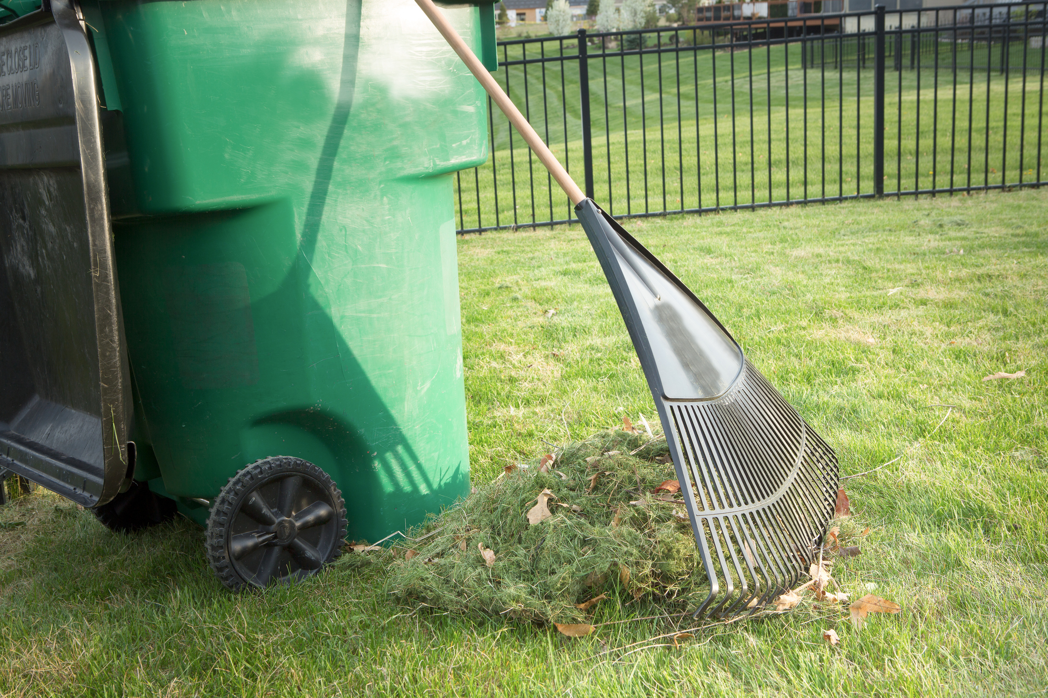 Property Cleanup Service in Florida