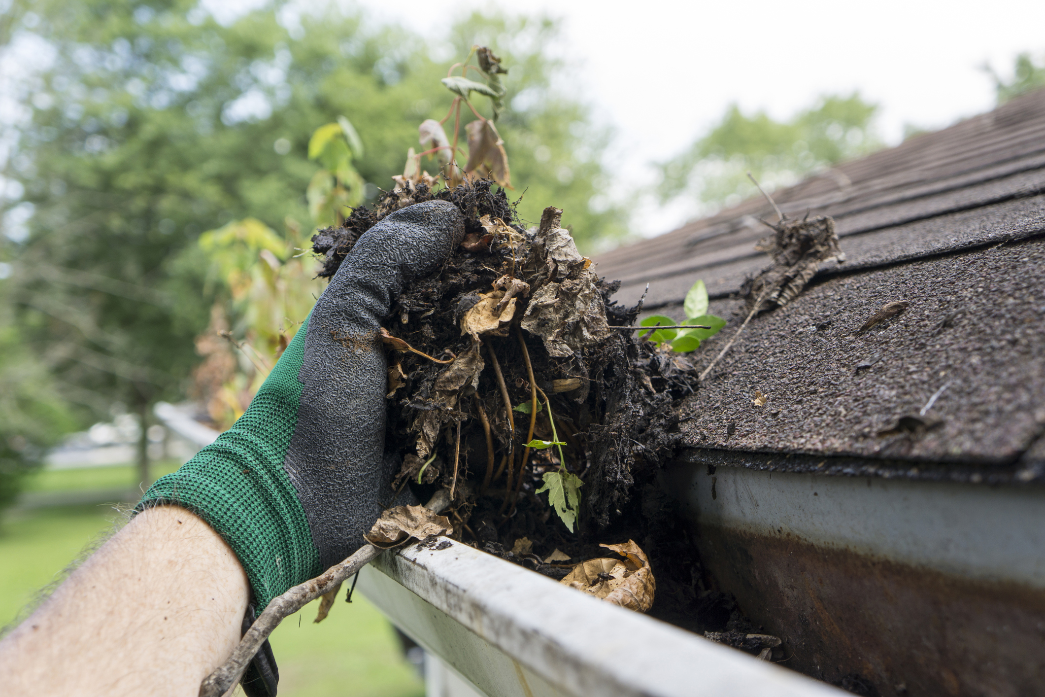 Residential & Commercial Gutter Cleaning in Florida