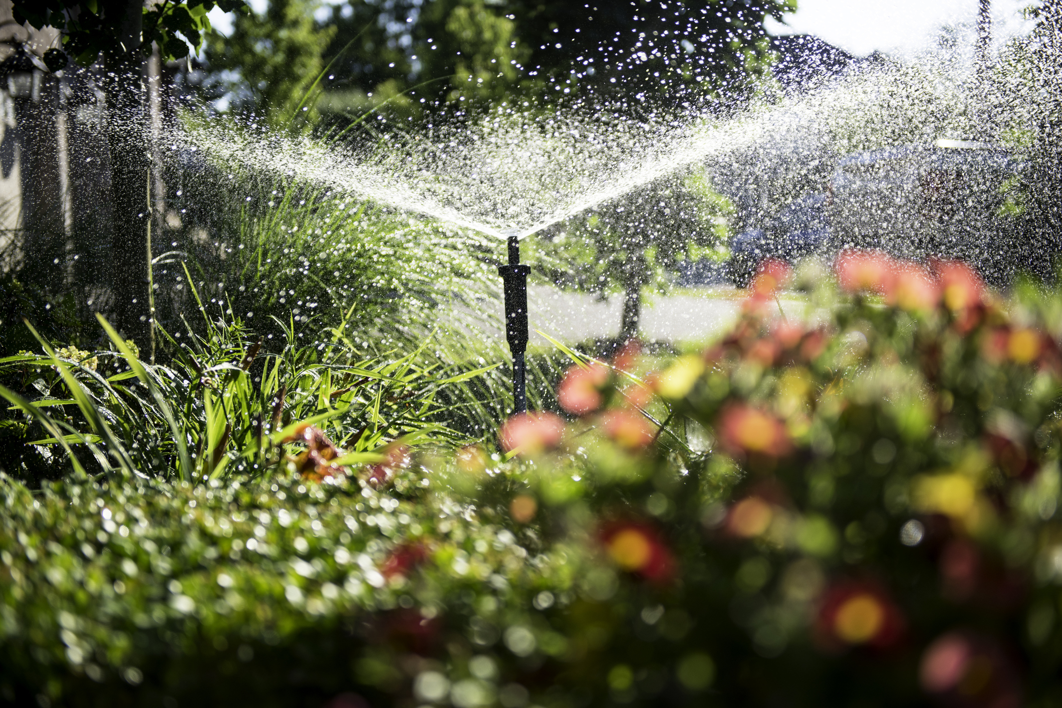 Professional Lawn Irrigation Repair in Florida