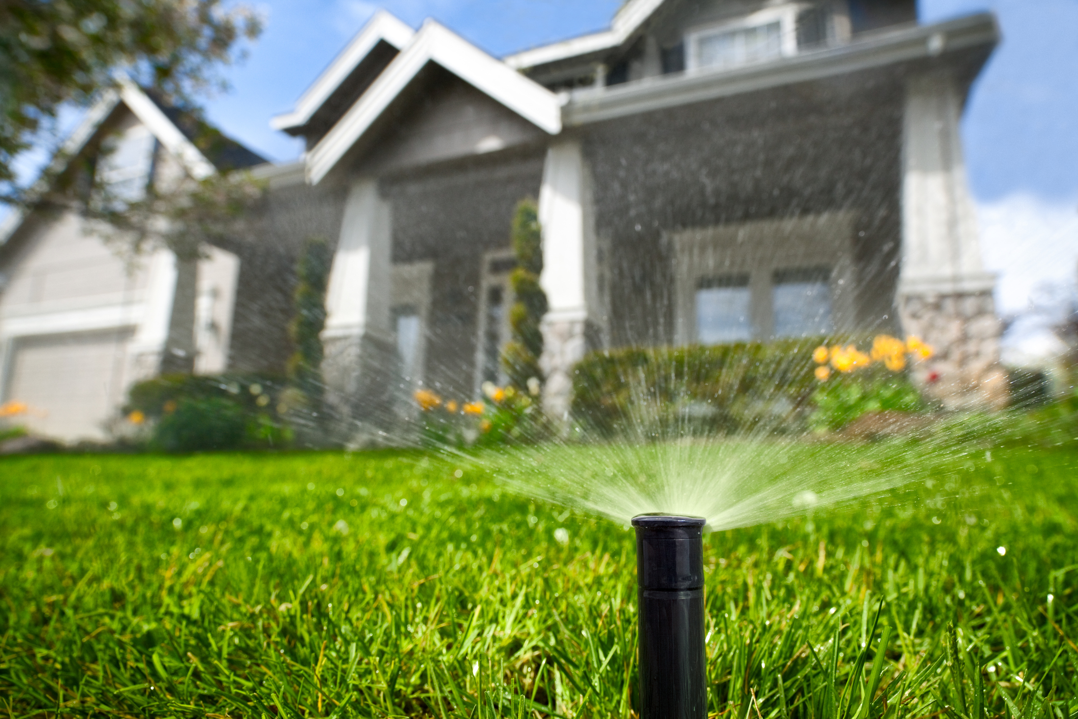 Residential Irrigation Repairs in Florida