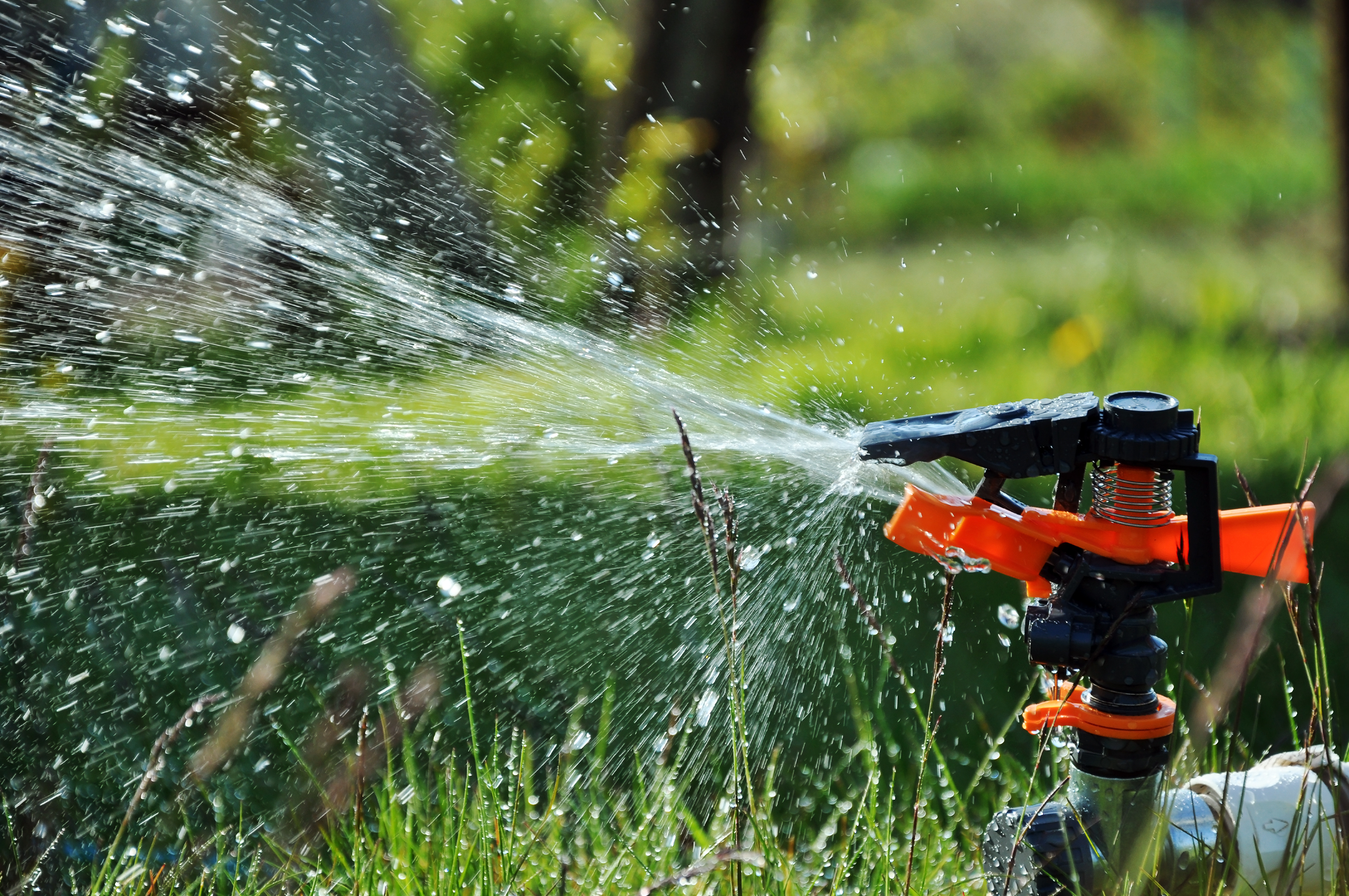 Commercial Landscape Irrigation Service in Florida