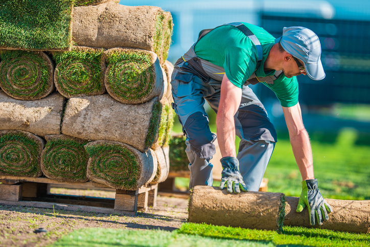 Gainesville Landscaping