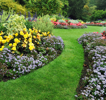 Wood Mulching by Evergreen Law Care in Gainesville, FL