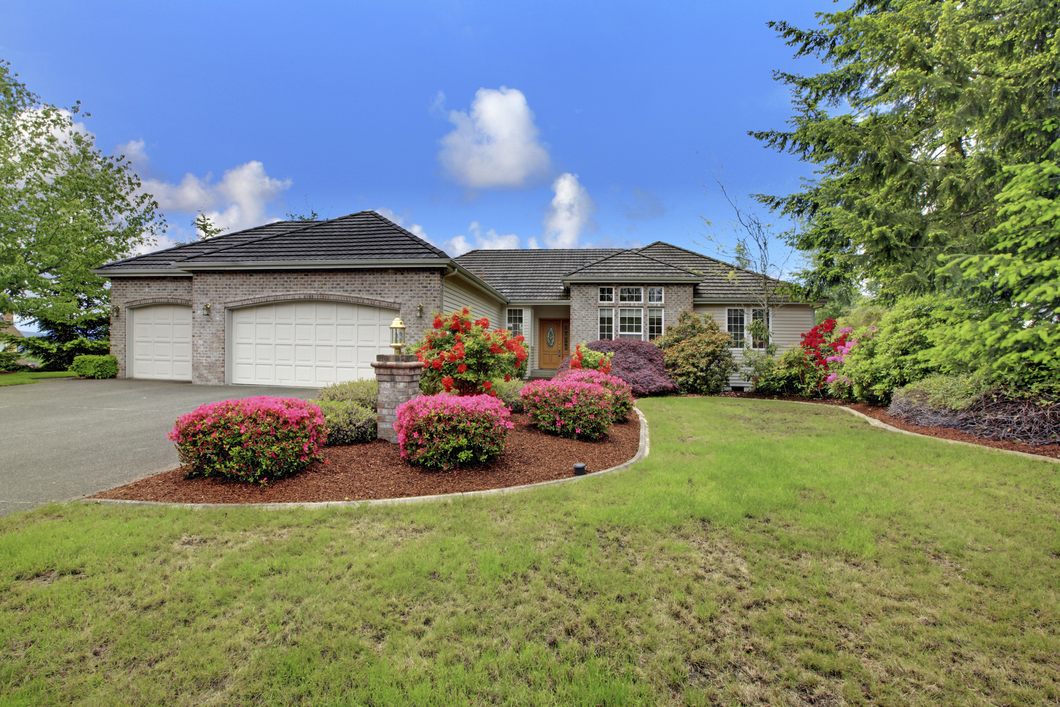 Florida Landscaping Curb Appeal