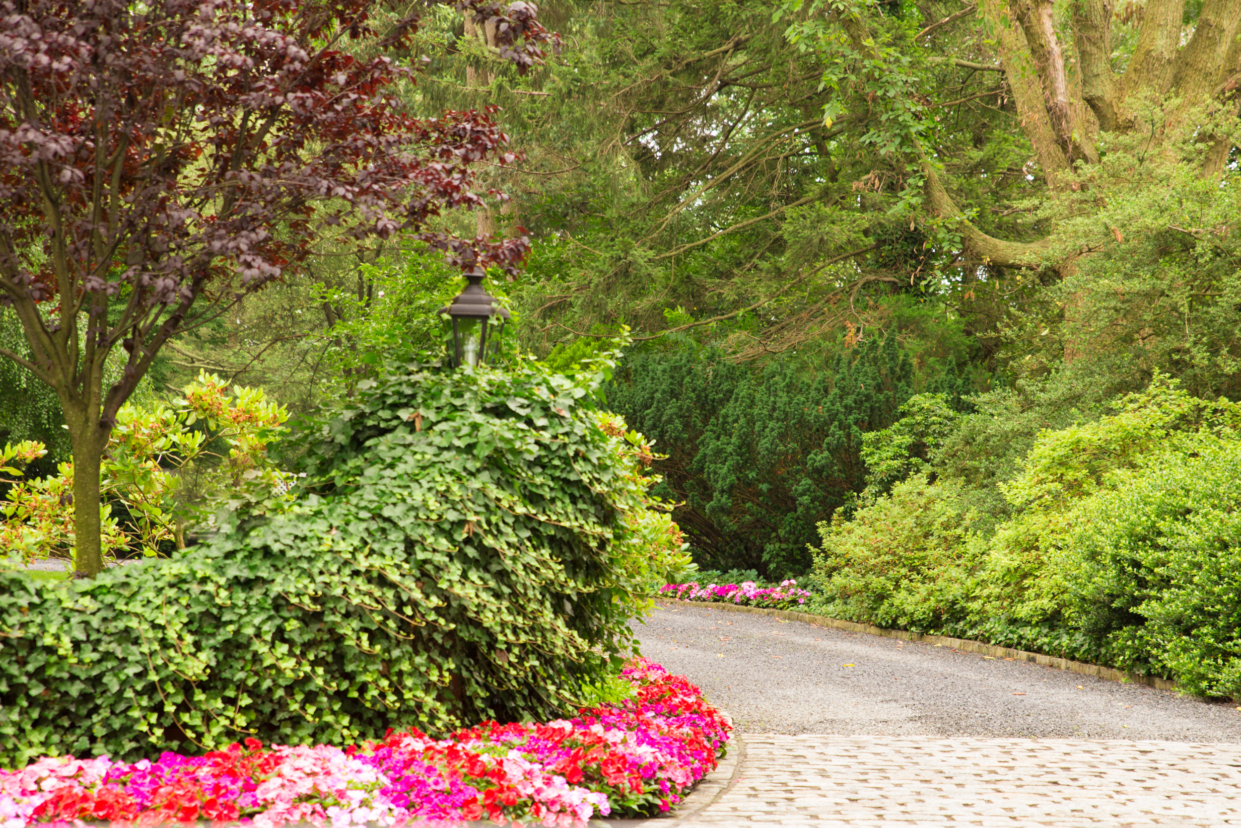 Curb Appeal Landscaping in Gainesville, FL