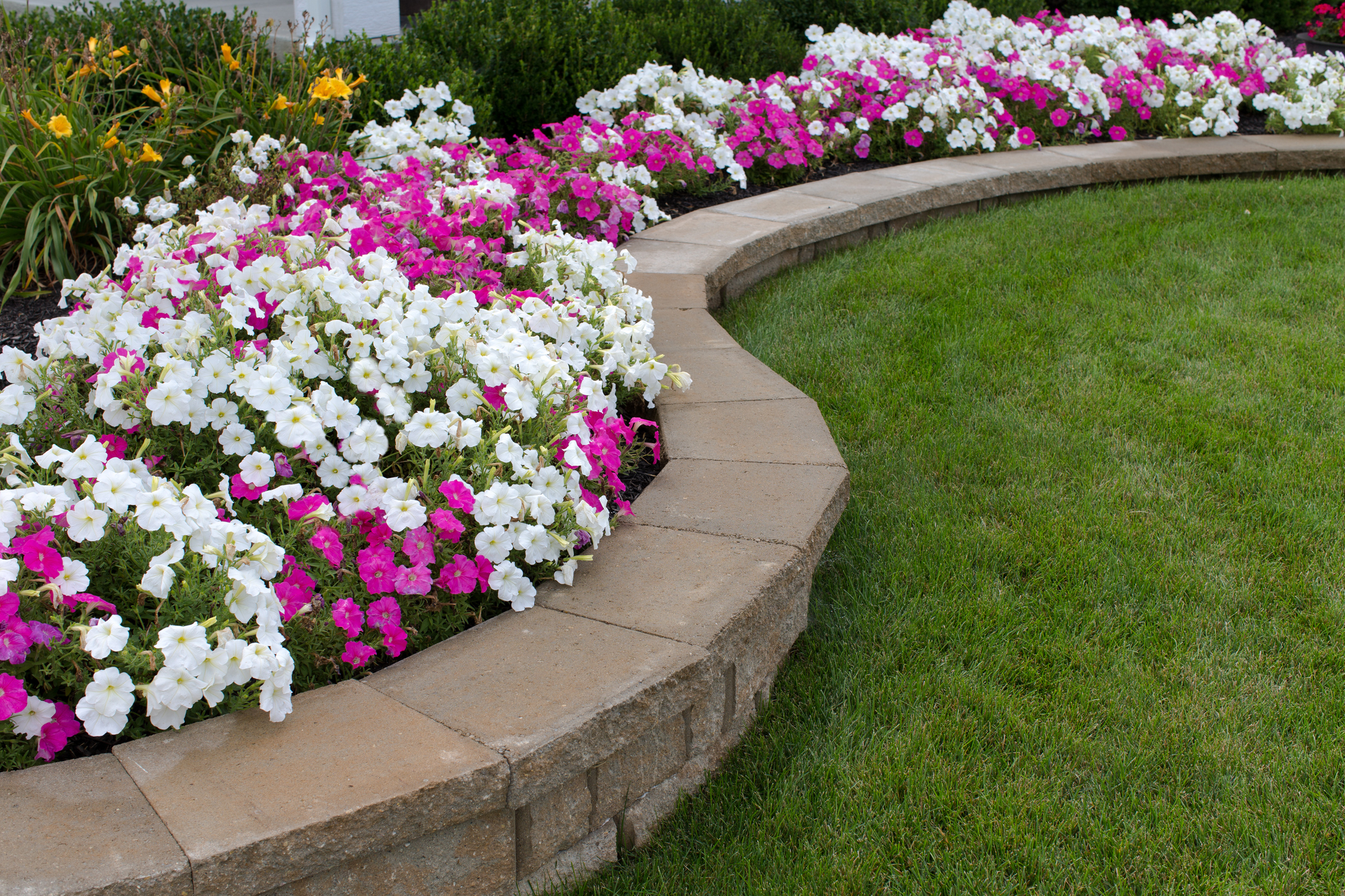 Retaining Wall Repair & Installation in Florida