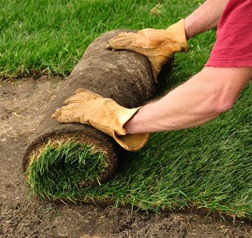 Sod Installation by Evergreen Law Care in Gainesville, FL