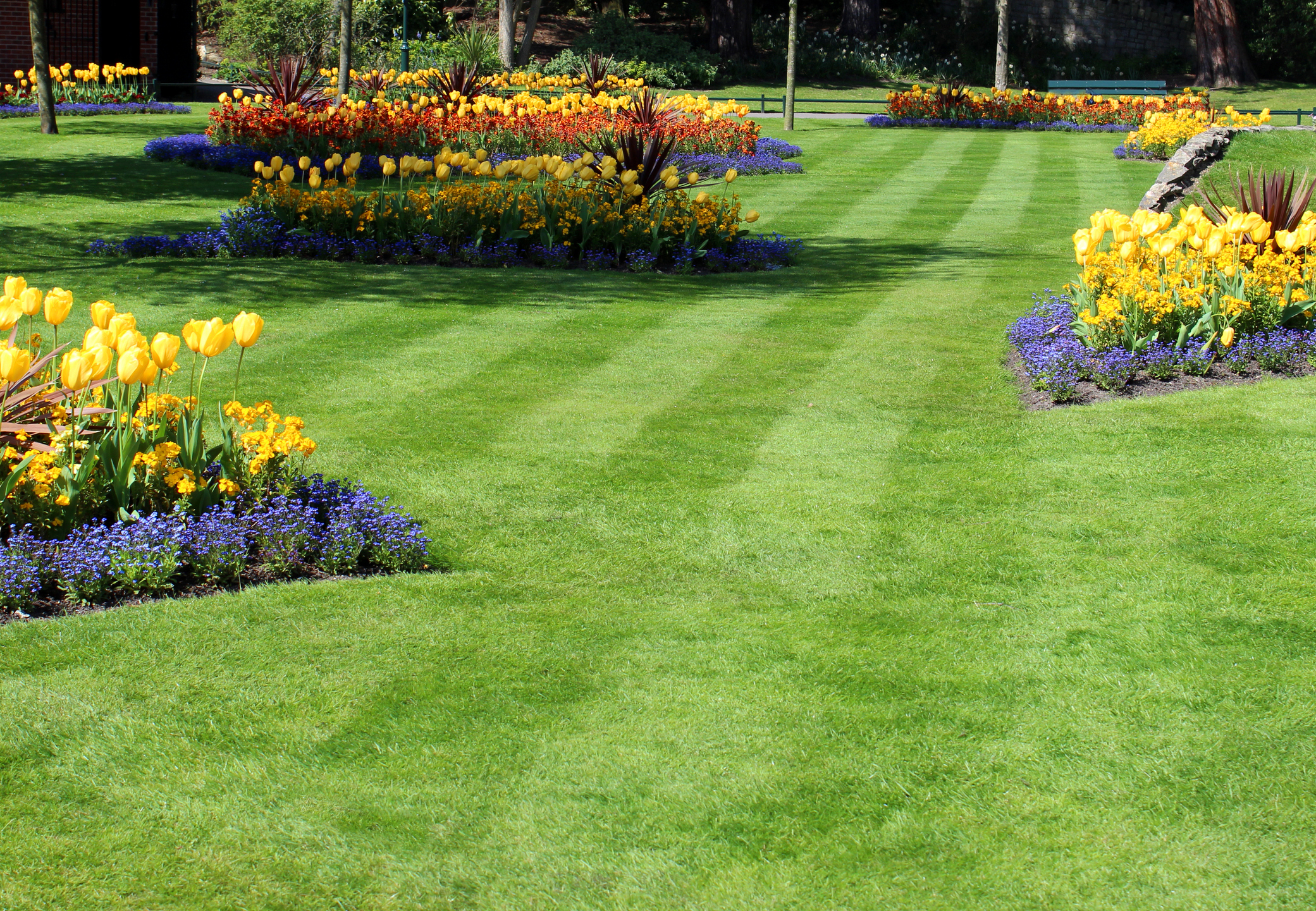 Spring Lawn Clean-Up in Gainesville, FL