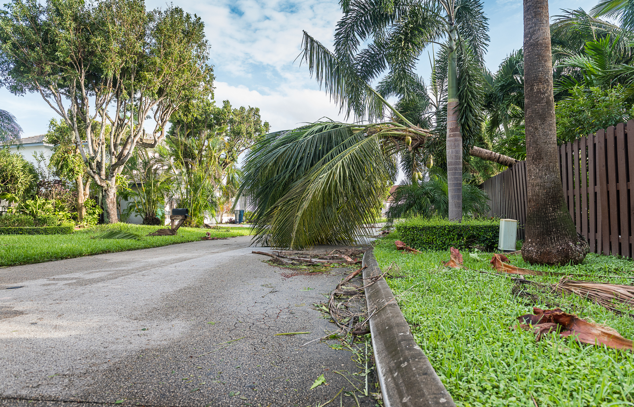 Storm Debris Removal Service in Florida