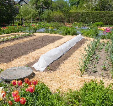 Pine Straw Mulching by Evergreen Law Care in Gainesville, FL