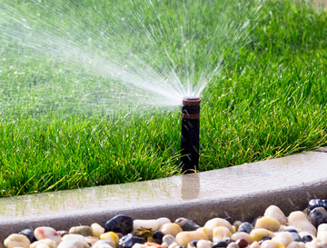 Watering Your Grass