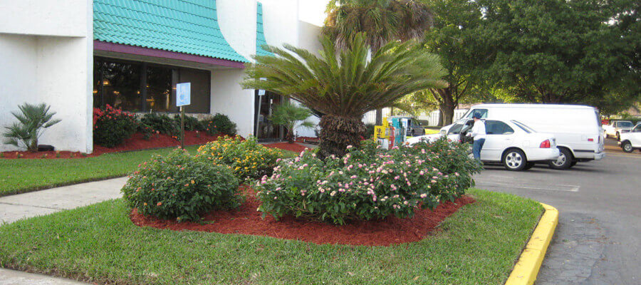 landscaping in front of business