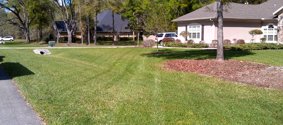 commercial landscaping gallery image 31