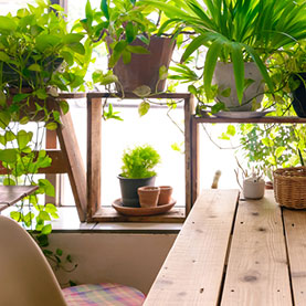 Image for Garden Trends for 2018