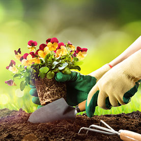 Prepping Your Gardens and Landscaping for Spring