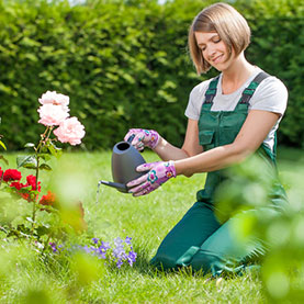 Beat The Heat: Tips to Stay Cool While Landscaping & Gardening