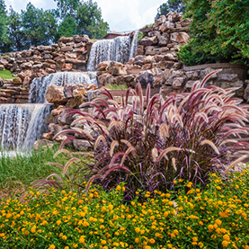 All About Ornamental Grasses for Gardens & Landscaping