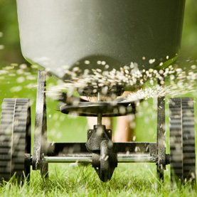 How To Plan Your Winter Lawn Care