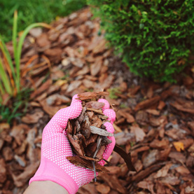 Don’t Forget Your Garden In December