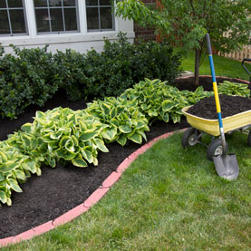 How Landscaping Can Save You Money