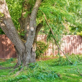 5 Ways To Protect Your Lawn & Garden From Summer Storms