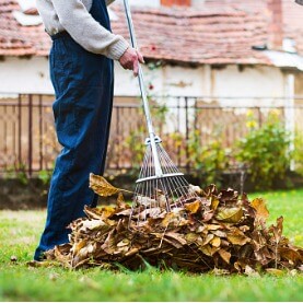 Image for Florida Fall Yard Clean-Up Guide