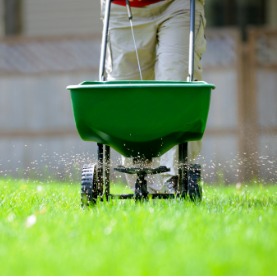 Prepping Your Lawn For Winter