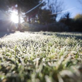 Tips For Winterizing Your Florida Lawn