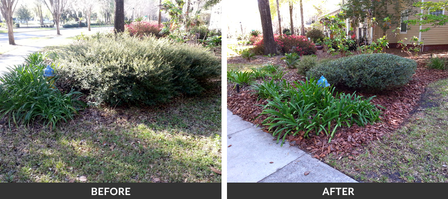 remove bushes from garden, Kathleen FL