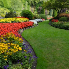 Image for 5 Things To Keep In Mind When Planning Your Landscape