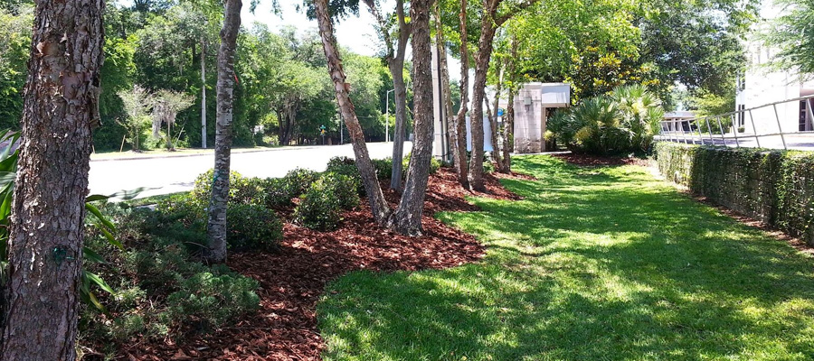 commercial landscaping gallery image 8