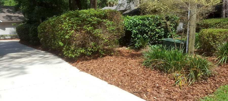 commercial landscaping gallery image 16