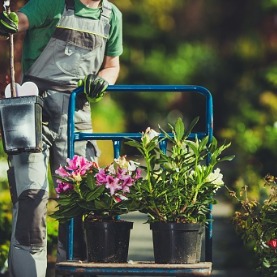 How Commercial Landscaping Attracts & Retains Tenants
