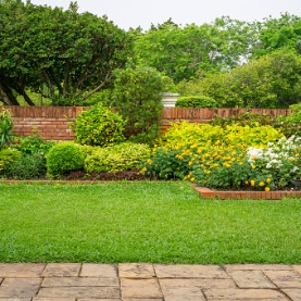 Image for Tips For A Lush & Healthy Yard
