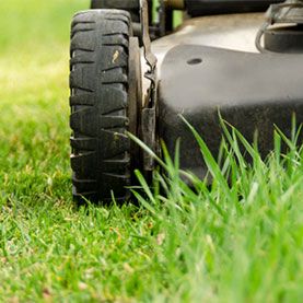 Professional Lawn Maintenance: What It Is & Why You Need It