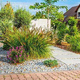 Building A Drought-Tolerant Lawn Through Landscaping