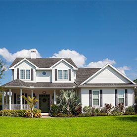 The Best Sod Types for Gainesville Lawns