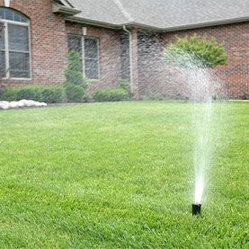 Image for Watering Wisely: Irrigation and Lawn Care Techniques For Gainesville Lawns