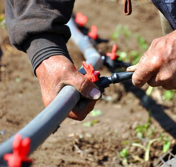 Irrigation Maintenance