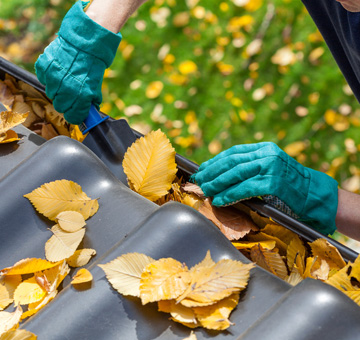 Gutter Cleaning