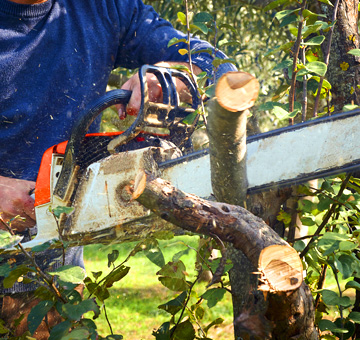 Storm Cleanup