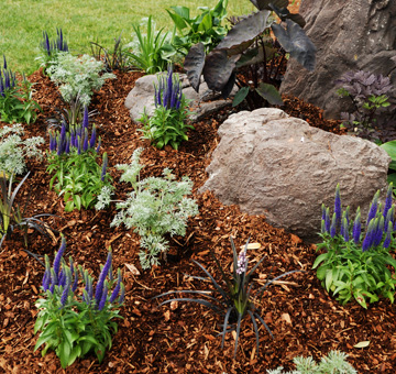 Wood Mulching