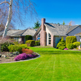 Keeping a Healthy Looking Yard!