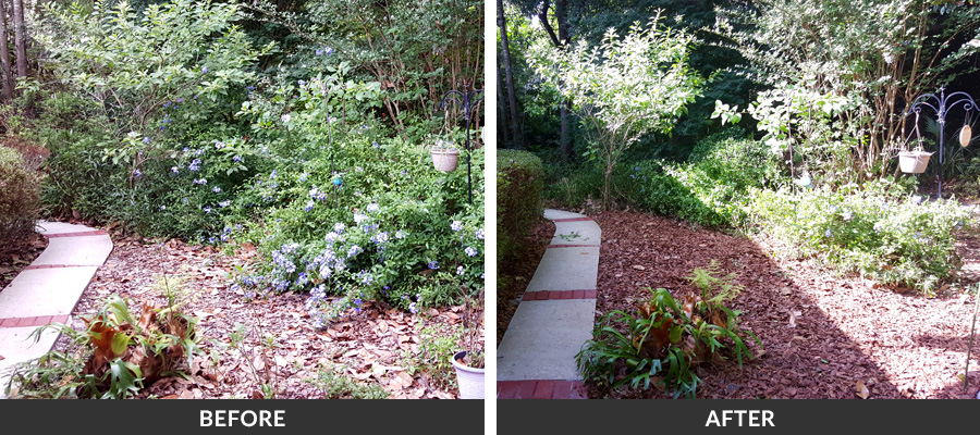 commercial landscaping gallery image 6